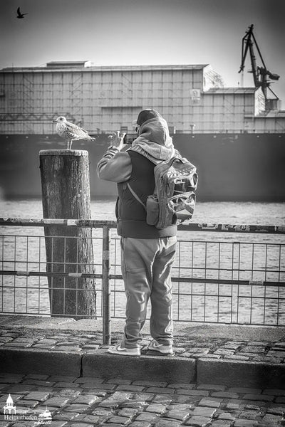 Echte Geschichten aus Hamburg: Der Möwenschnacker vom Fischmarkt