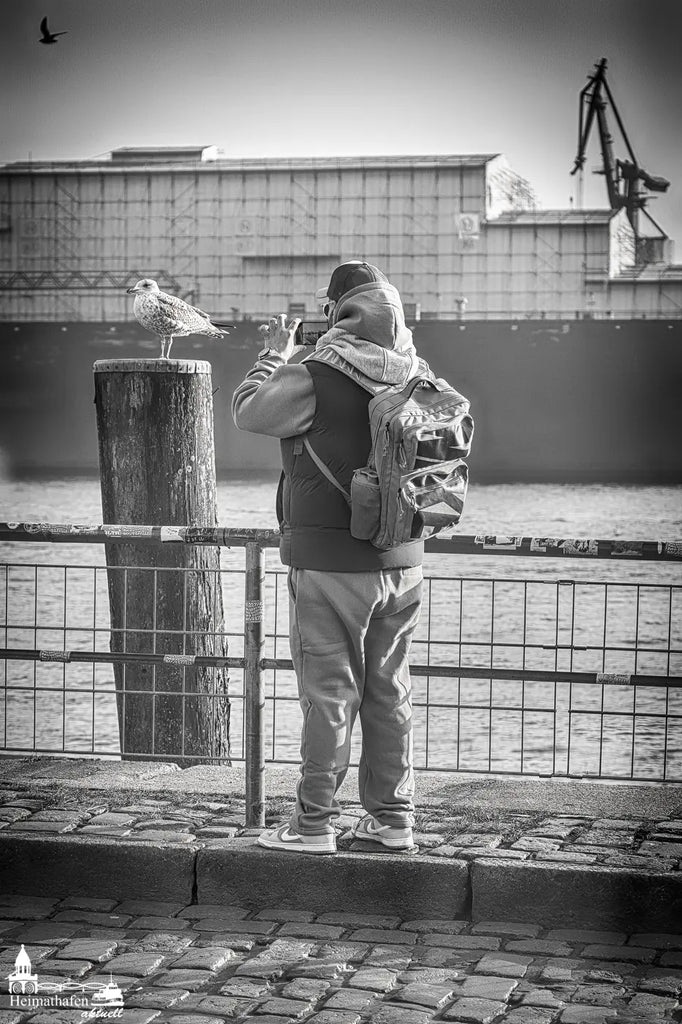 Echte Geschichten aus Hamburg: Der Möwenschnacker vom Fischmarkt