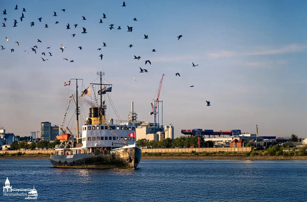 Hamburg Hafen Bilder - Dampf-Eisbrecher STETTIN im Köhlbrand
