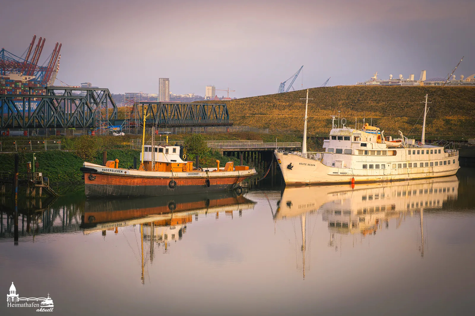 Hadersleben und Seute Deern im Hafen mit Spiegelung – Hamburg Bilder kaufen