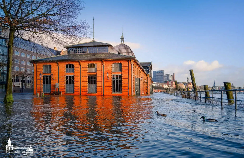 Hamburg Hafen Fotos - Sturmflut durch Sturm Zoltan an der Fischauktionshalle