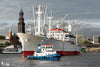 Cap San Diego Hamburger Michel und Schlepper FAIRPLAY VI