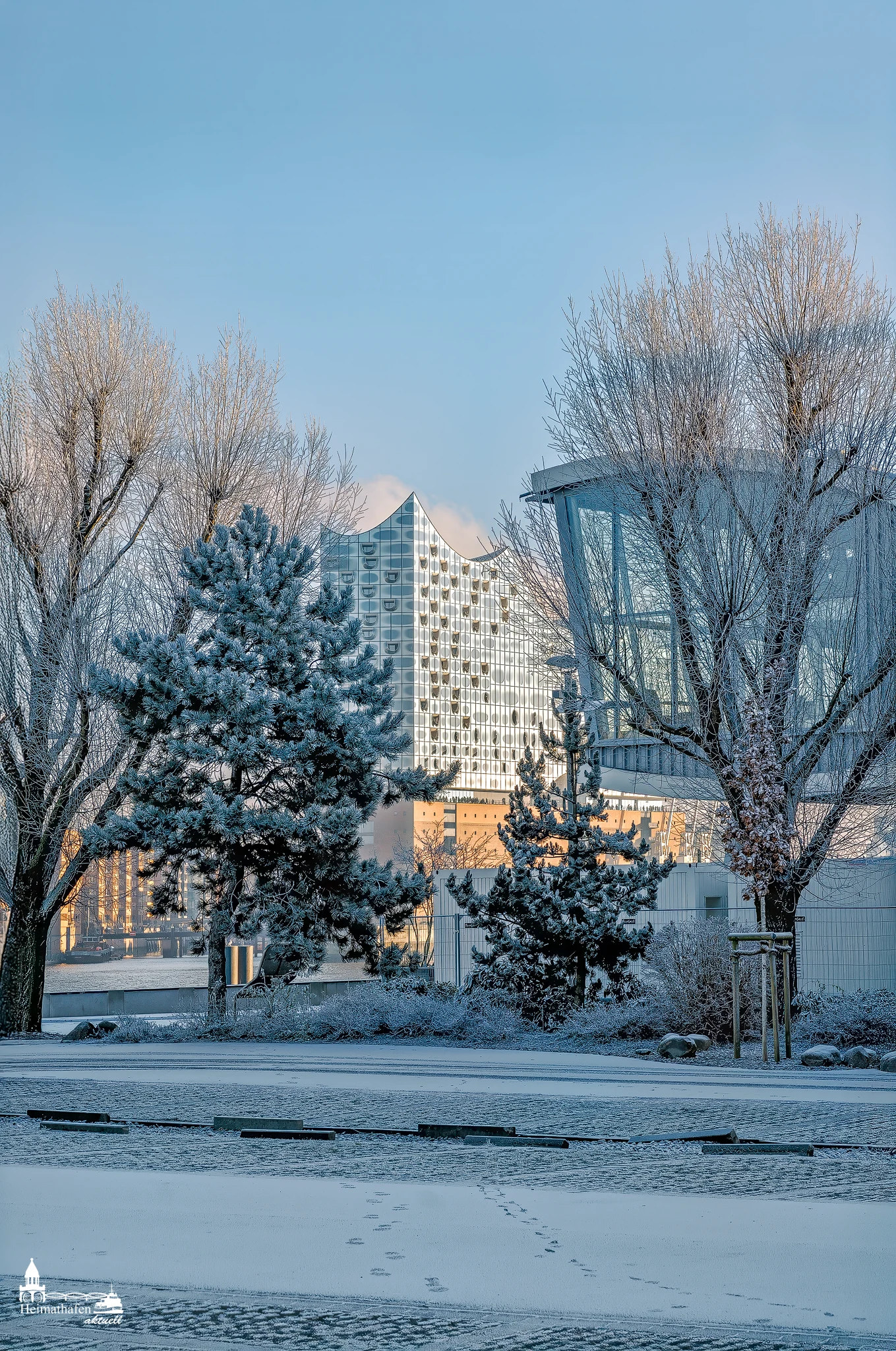 Hamburg Fotos - Elbphilharmonie bei frühen Sonnenschein im Winter.