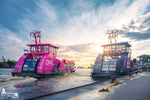 Rosa HVV-Fähre „ONE“ und schwarze HVV-Fähre an den Landungsbrücken in Hamburg bei Sonnenuntergang