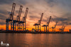 Hafengiraffen im Sonnenuntergang im Hamburger Hafen