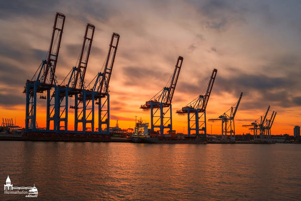 Hafengiraffen im Sonnenuntergang im Hamburger Hafen