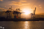 Sonnenuntergang im Hamburger Hafen mit silhouettierten Containerkränen und goldenem Lichtspiel auf dem Wasser.