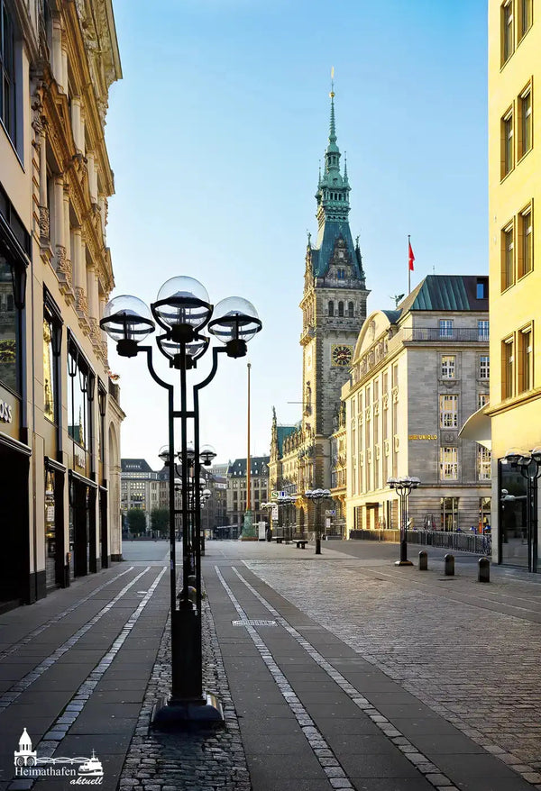 Hamburg Fotos im Hochformat - Hamburger Rathaus am Morgen
