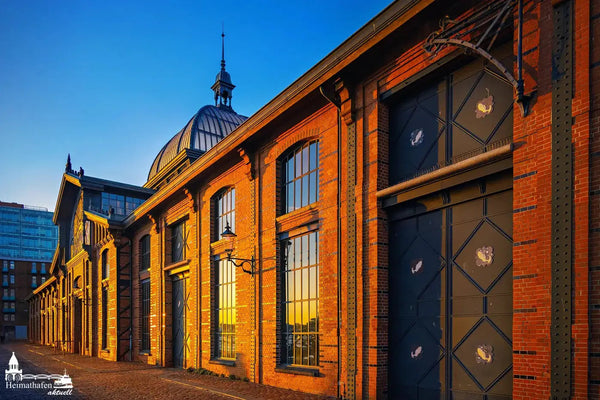Hamburg Bilder - Fischauktionshalle im Sonnenuntergang