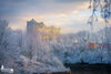 Hamburg coole Fotos - Elbphilhamonie im Winter bei Frost, Sonne und Raureif