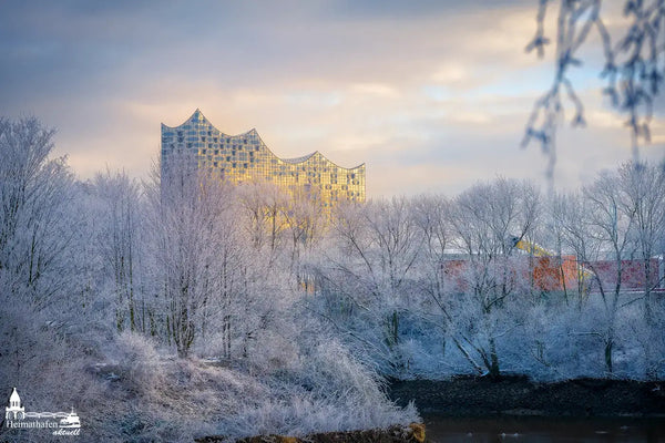 Hamburg coole Fotos - Elbphilhamonie im Winter bei Frost, Sonne und Raureif