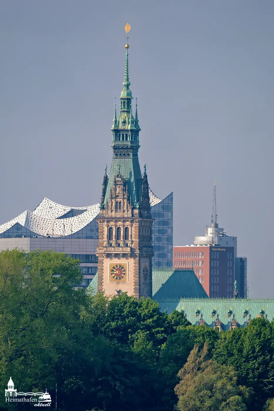 Hamburger Rathaus mit Elbphilharmonie im Hintergrund