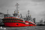 Hafenschlepper KOTUG in Hamburg – SD DOLPHIN und RT ZOE in Rot vor monochromem Hintergrund