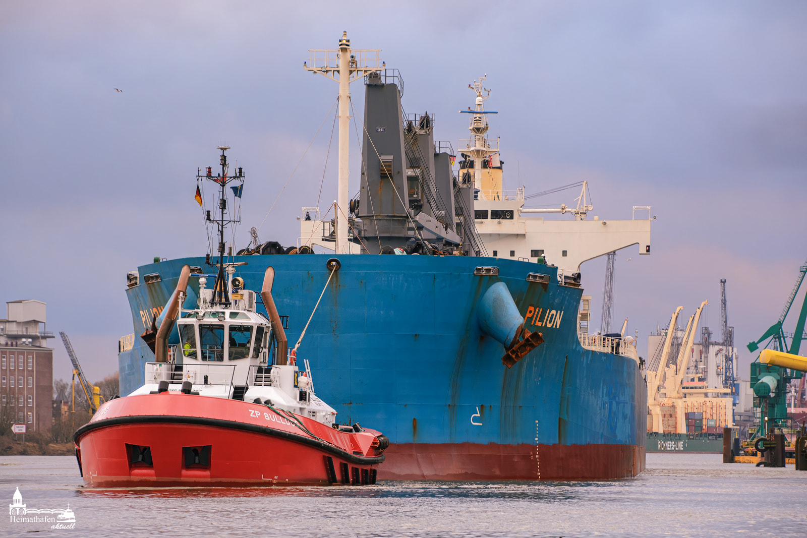 Schlepper ZP BULLDOG zieht den blauen Massengutfrachter PILION durch den Hamburger Hafen – Kraftpaket trifft Koloss.