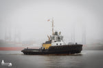 Hafenschlepper MICHEL im Nebel – Hamburg Bilder kaufen