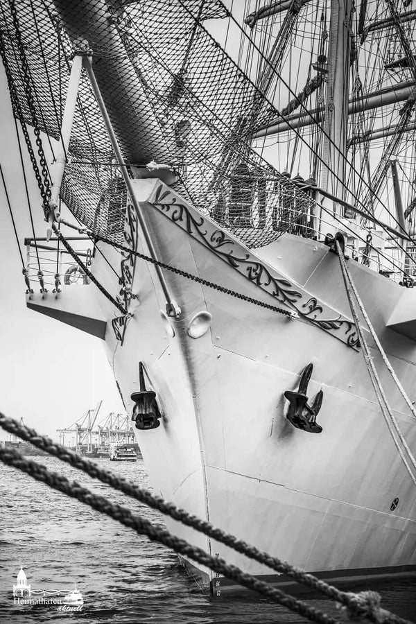 Hamburg Hafen Bilder - Segelschiff MIR an den Landungsbrücken 