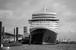 Kreuzfahrtschiff Queen Elizabeth am Cruise Center Altona in Hamburg