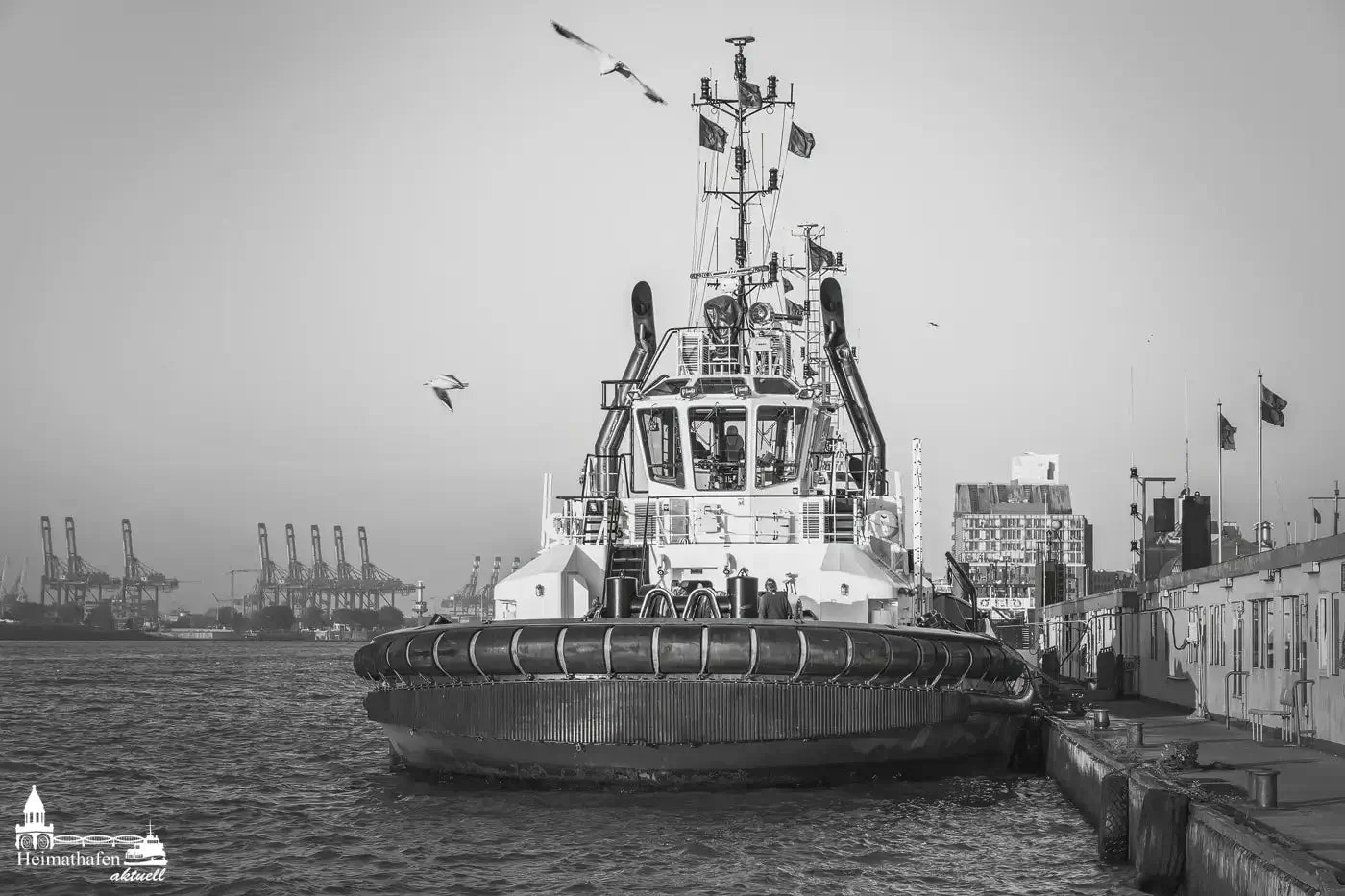 Hafenschlepper der Reederei KOTUG an Brücke 10 in Hamburg in Schwarz-Weiß