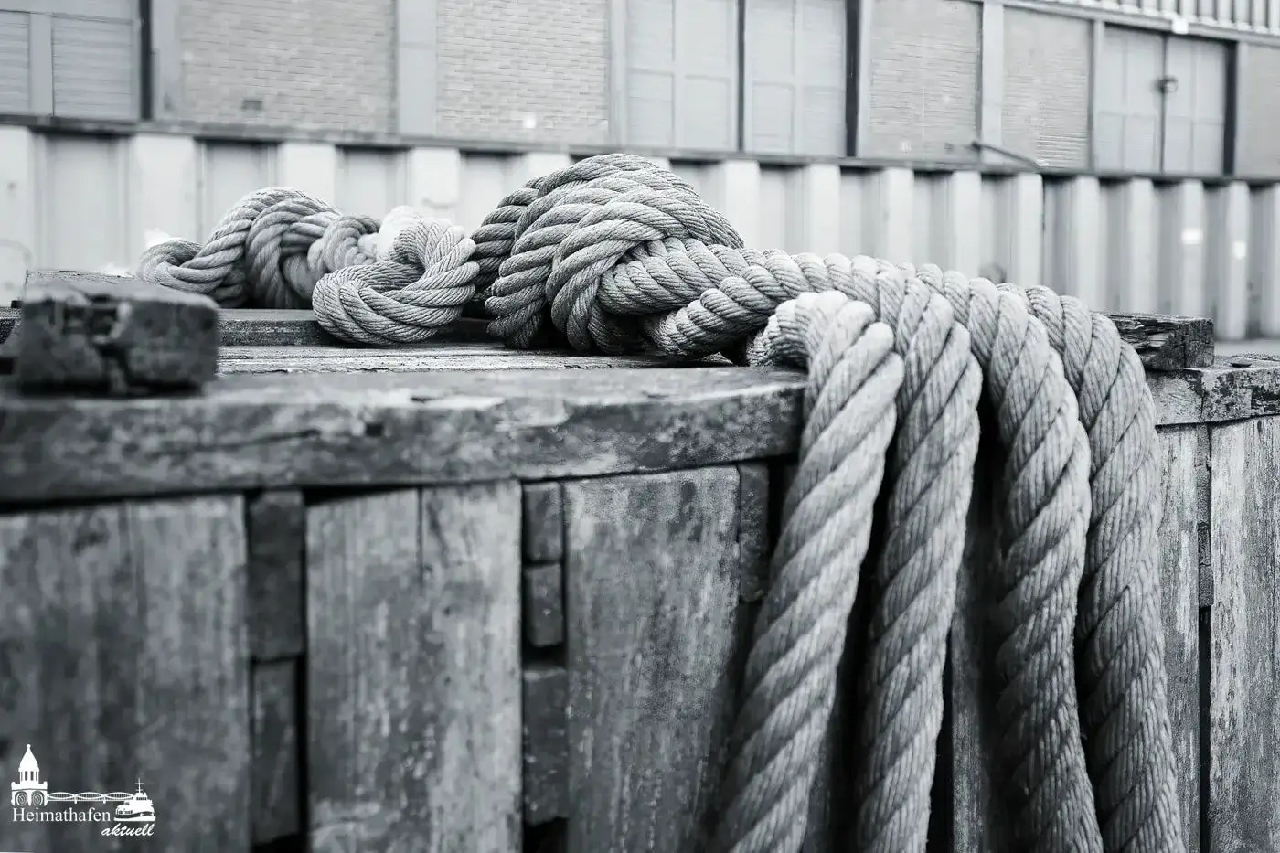 Stark gedrehtes Tauwerk auf rustikaler Holzkiste im Hafenbereich, Schwarz-Weiß-Aufnahme